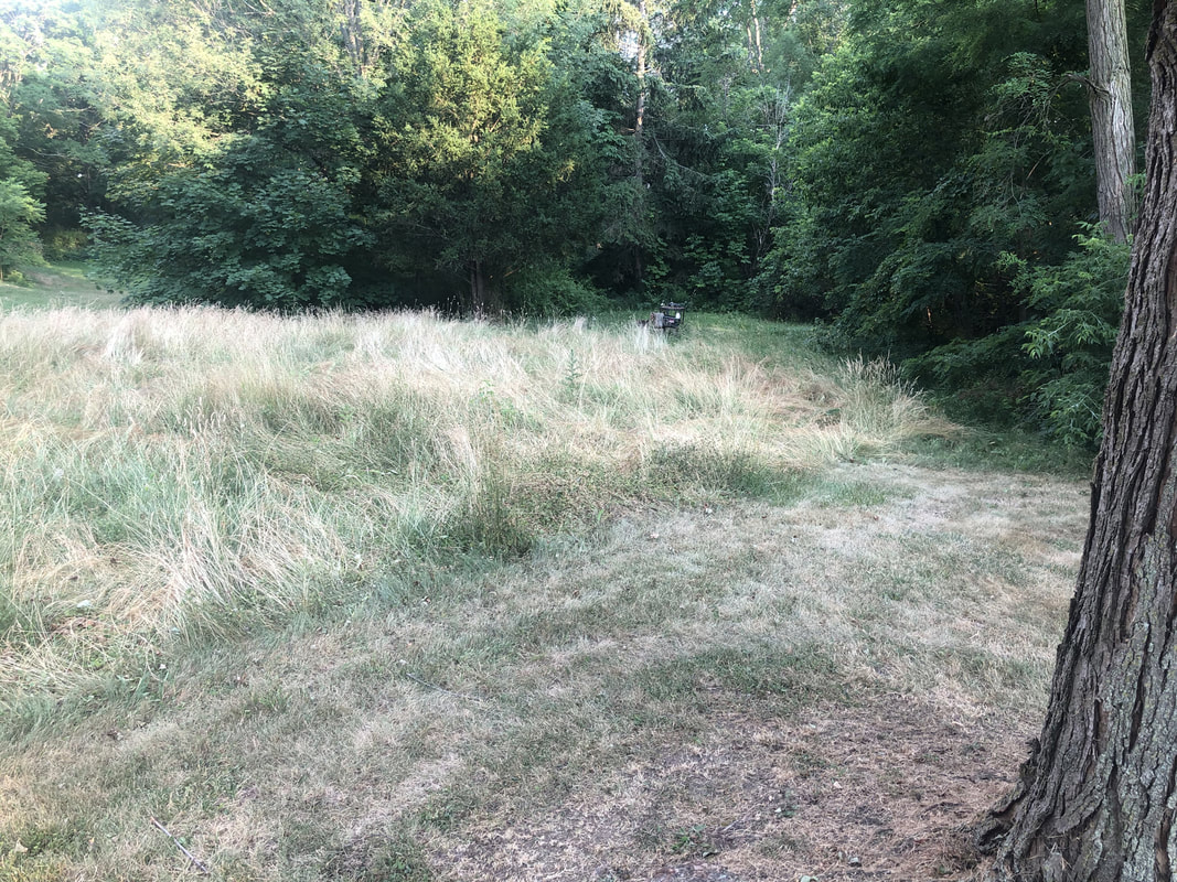 Partially cleared field with tall grass and a small piece of equipment visible near the tree line.Partially cleared field with tall grass and a small piece of equipment visible near the tree line.